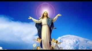 Assumption of the Blessed Virgin Mary: Why do the Catholic Church believe in it?