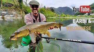 Barbels & Bolognese in the river