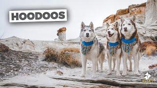 Hiking Utah With Dogs | Husky Squad