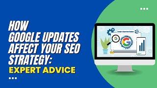 SEO Strategy Guide: Google Update Tips