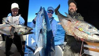 BLUEFIN TUNA ON JIGS - Bluefin tuna fishing in New Zealand