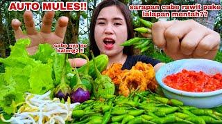 PEDAS NYELEKIT⁉️MAKAN CABE RAWIT DAN LALAPAN MENTAH TANPA NASI, LALAPAN TERONG TOGE SAMBEL TERASI