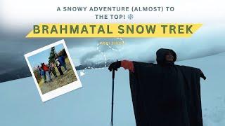 From Sunshine to Snowstorm: My Brahmatal Trek Took a Wild Turn️️ | Lohajung Base Camp | Ashi Singh