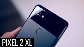 Pixel 2 XL Review: Screen aside, a winner