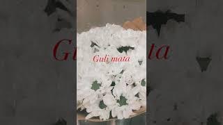 #gulimata #new #song #saadlamjarred #india #arabic #2023