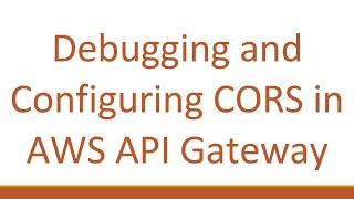 Debugging and Configuring CORS in `AWS API Gateway`