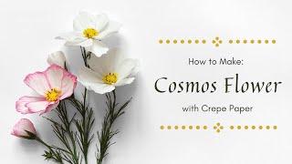 MAKING COSMOS WITH CREPE PAPER | Sneak Peek