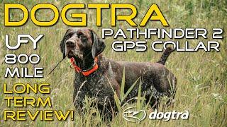 Dogtra Pathfinder 2 - 1 Year Review - Discount Code!