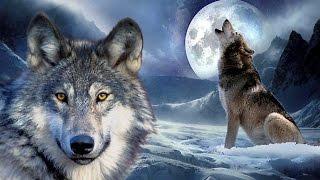 Psychedelic Trance Mix 2017 -   The Birth Of The Wolf 