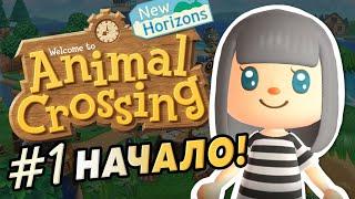 #1 Начало - Прохождение Animal Crossing