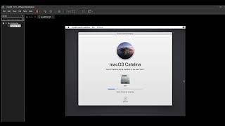 Install Mac OS Catalina in Vmware Workstation