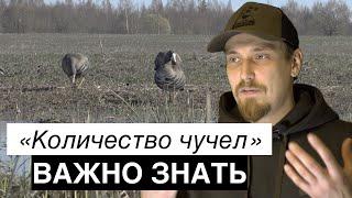 Важно знать/количество чучел/охота на гуся