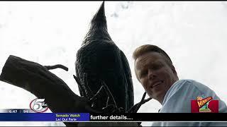 So Minnesota: Largest crow statue in the world