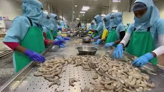 #VLOG1 | SEAFOOD PROCESSING & EXPORT | HARI MARINE | INTERNATIONAL MARKET SHRIMP