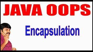 Java Tutorials || Java OOPS  || Java Encapsulation || by Durga Sir