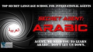 Secret Agent: Arabic - an Arabic Vocabulary Game