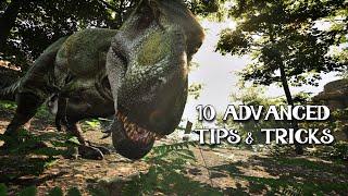 10 Advanced Tips & Tricks | Path of Titans