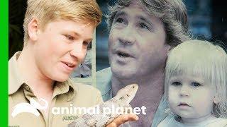 Robert Irwin is Following in Steve Irwin's Footsteps