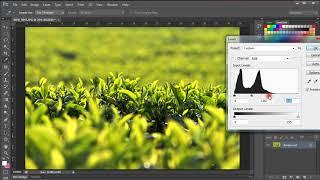 Tonal Correction - Tutorial Adobe Photoshop CS6