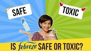 Is Febreze Safe or Toxic?