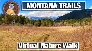 Suce Creek Trail Virtual Walk -  Virtual Walking Trails for Treadmill - Montana 4K 60p Hike