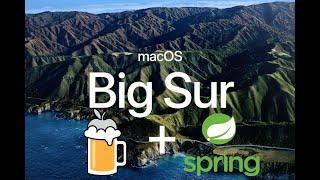 Install Spring Boot CLI using Homebrew on macOS Big Sur