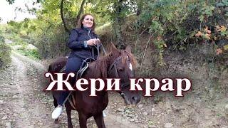 Седакъет Керимова: Жери крар