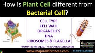 Difference between Plant Cell and Bacterial Cell in 5 minutes|| Biologyexams4u||