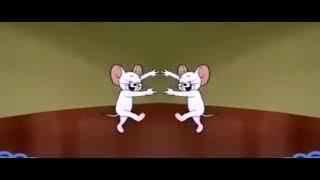 Tom & Jerry | Funny New Meme | Dance Meme | No Copyright Meme | [AM NoCopyrights] #1