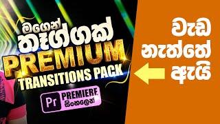 Why My Premium Transition Pack Not Working | Adobe Premiere Sinhala