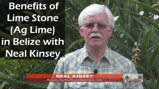 Benefits of Lime Stone in Belize w/ Neal Kinsey (Ag Lime)