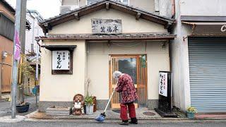 【京都】100年食堂でうどん一筋58年！素朴な大衆うどん店を営む働き者のおばあちゃん！丨Udon Noodles Restaurant in Kyoto