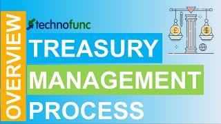 Introduction to Treasury Management Process