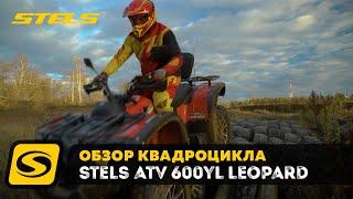 Тест-драйв квадроцикла STELS ATV 600YL LEOPARD с Дмитрием Федоровым, телеканал "Драйв"
