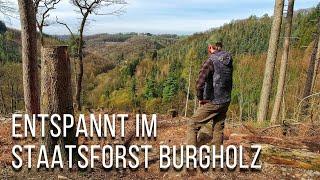 Entspannt im Staatsforst Burgholz | Natur in NRW | 2023 | Jörg Müller