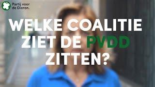 Welke coalitie ziet de Partij voor de Dieren zitten? Marianne legt het uit.