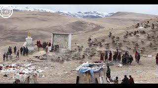 티베트 사람들 독수리가 장례를 치룬다 [ Sky burial in Tibet ]