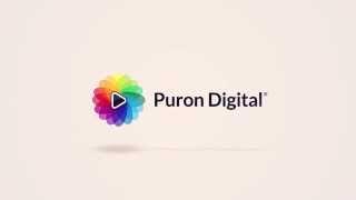 Puron Digital: Introduction