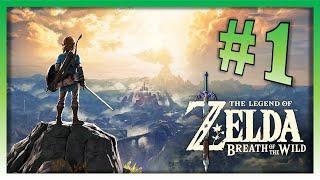 ZELDA BREATH OF THE WILD #1 - O INÍCIO