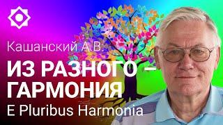 Кашанский А.В.  Из разного – гармония. Как соединить разных людей в гармоничное сообщество