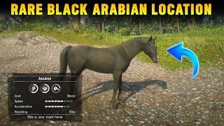 How To Get Rare Black Arabian Horse In Chapter 2 For Free With Location - RDR2