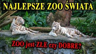 Najciekawsze Ogrody Zoologiczne Świata - Czy ZOO Jest Złe czy Dobre?