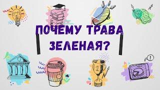 Почему трава зеленая?