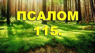 Псалтирь. ПСАЛОМ 115. [рус.]