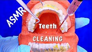 ASMR Satisfying Teeth Cleaning   (No Talking)