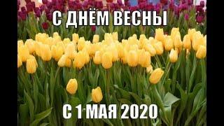 Влад Бахов. ВСЁ НА ПОЛЯНУ ПРАЗДНОВАТЬ. В Демидовский лес.