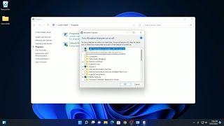 How to Enable  NET Framework 3.5 on Windows 11