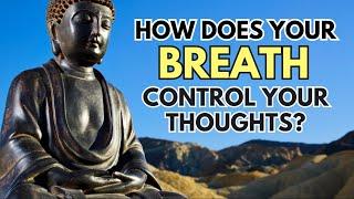 Breath and Mind Connection: Unraveling Buddha's Teachings | Wisdom Insights