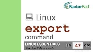 Linux export command summary with examples