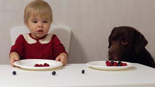 Funniest Moment! Baby and Dog Made a Tricky Move!